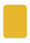Amarillo Limón Basico
